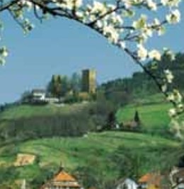 Ausflugsziel Bühl