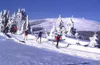 Winterlandschaft