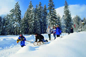Personen beim Winterwandern in einer sonnigen Winterlandschaft