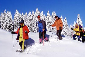 Personen beim Schneeschuhlaufen